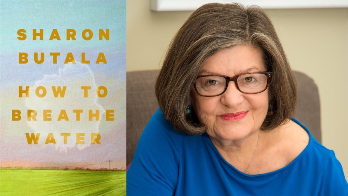 A photo composite that shows a book cover with hazy blue and red skies over grass on the left and a woman wearing a blue shirt on the right. 