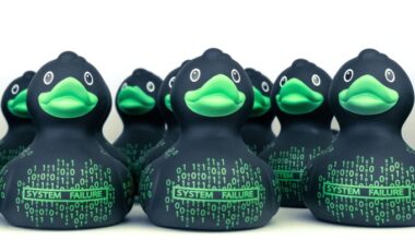 A row of rubber ducks. Some developers say AI is best used as a way to talk through coding problems, a technique they call rubber ducking (after their habit of talking to the toys on their desk)