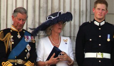 Former royal butler contradicts Prince Harry's claims that he and Prince William didn't like Camilla before her marriage to King Charles