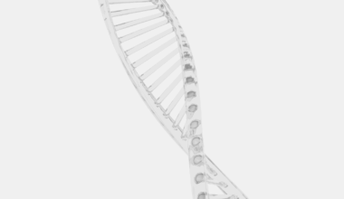 A clear DNA double helix