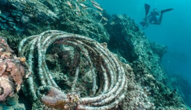 Fishing gear a major source of ‘microplastic’ contamination along Indian coasts