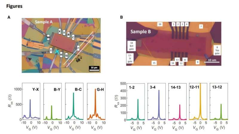 ICFO researchers overcome long-standing bottleneck in single photon detection with twisted 2D materials
