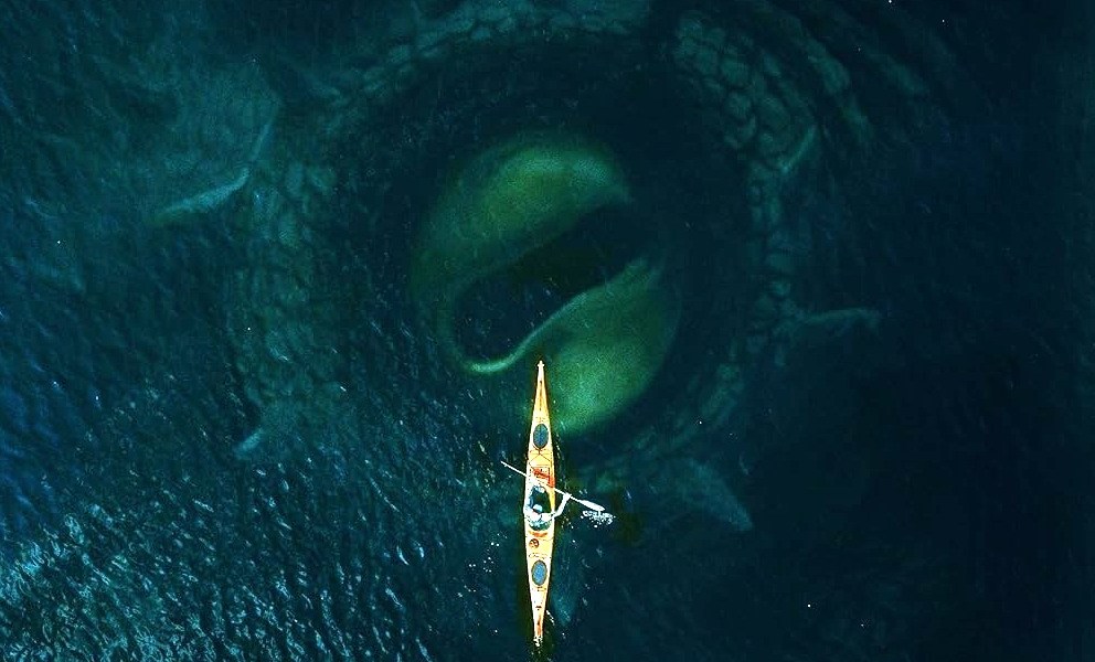 'Kraken' Teaser Trailers - Norwegian Monster Movie Acquired for U.S. Release