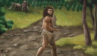 Denisovan DNA May Have Helped Ancient Humans Survive in Americas