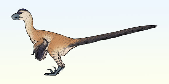 Life reconstruction of Shri rapax. Image credit: Connor Ashbridge / CC BY 4.0.