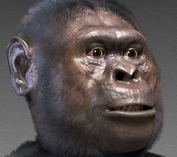 Forensic facial reconstruction of Australopithecus afarensis. Image credit: Cicero Moraes / CC BY-SA 3.0.