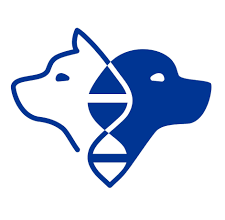 A Step Ahead: How Genetics May Help Prevent Cruciate Ligament Rupture in Dogs