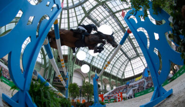 It's a One Horse Race for Highest Earner of 2025