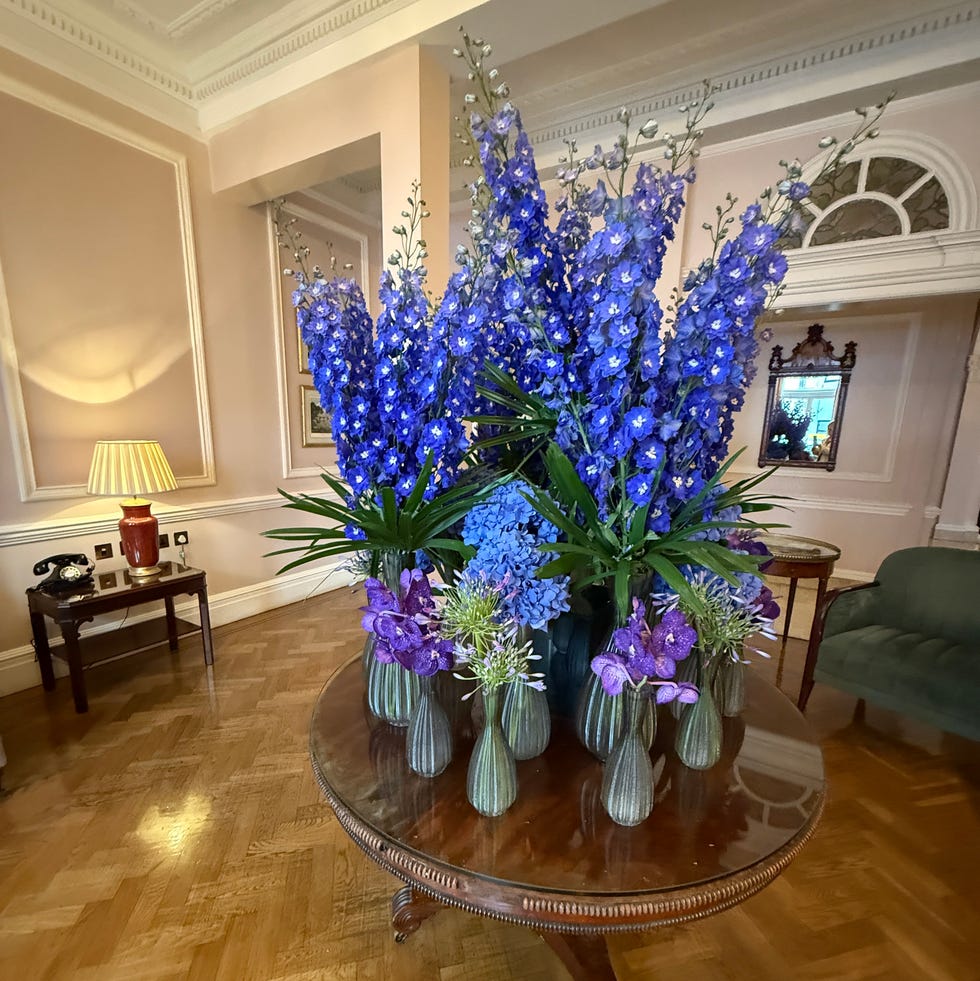 beautifulblueflowers