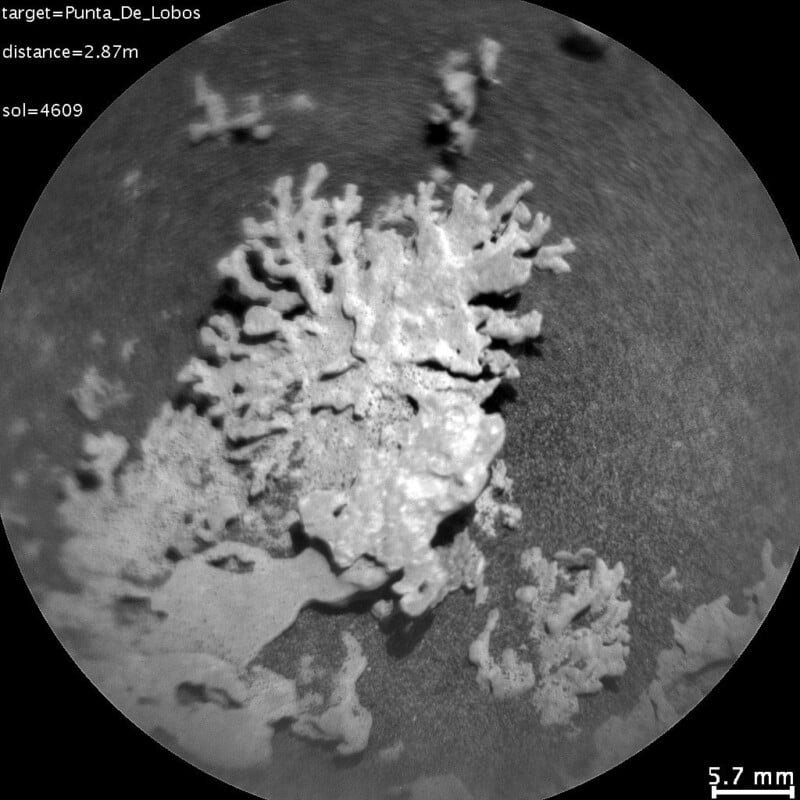 Close-up black and white image of a rough, coral-like rock formation on a flat surface, with measurements and target information visible along the image edges. Scale indicator shows 5.7 mm for reference.
