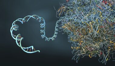 a digital illustration of an unwinding ribosome