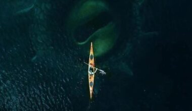Kraken – Watch the trailer for the new Norwegian creature feature