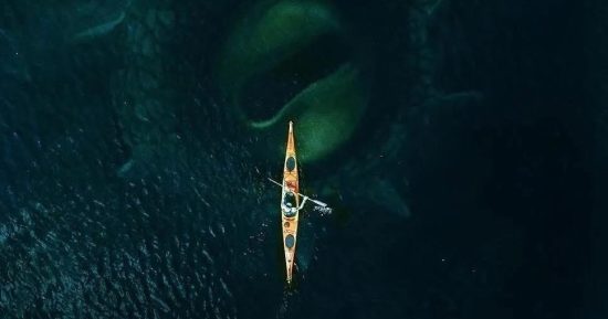 Kraken – Watch the trailer for the new Norwegian creature feature