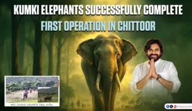 Sakshi Calls It a Waste, But Kunki Elephants Now Protect AP Villages