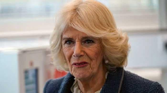 Queen Camilla adds to King Charles and William's troubles after Andrew