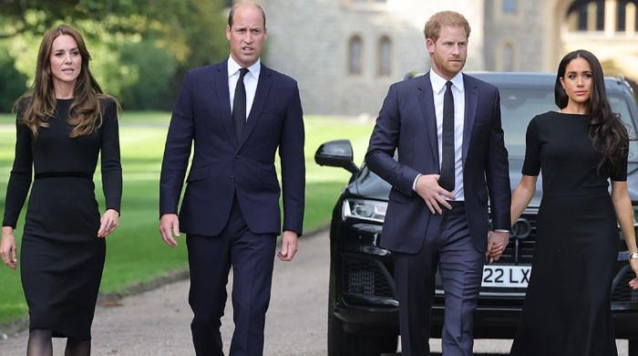 Royal fans react to Kate Middleton, Prince William's major decision about Harry