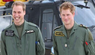 Prince William's THIS appointment dubbed 'gut-punch' for Prince Harry