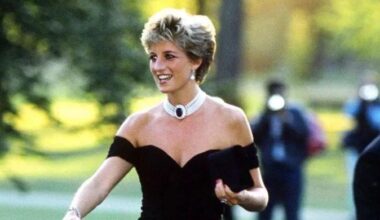 Princess Diana would be 'distraut' to see bitter fall out of her boys