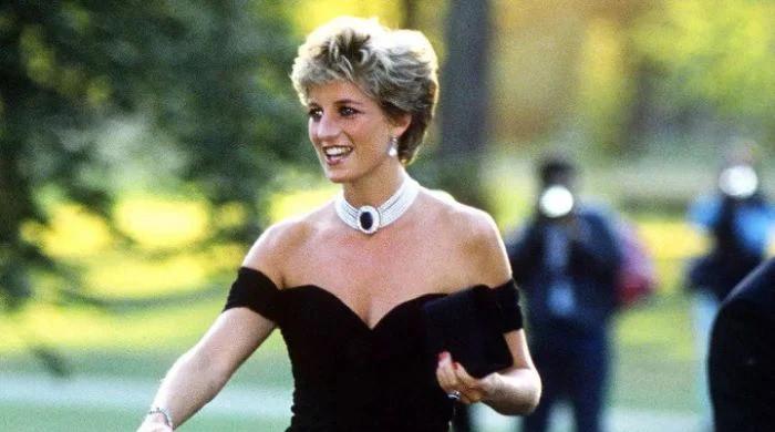 Princess Diana would be 'distraut' to see bitter fall out of her boys