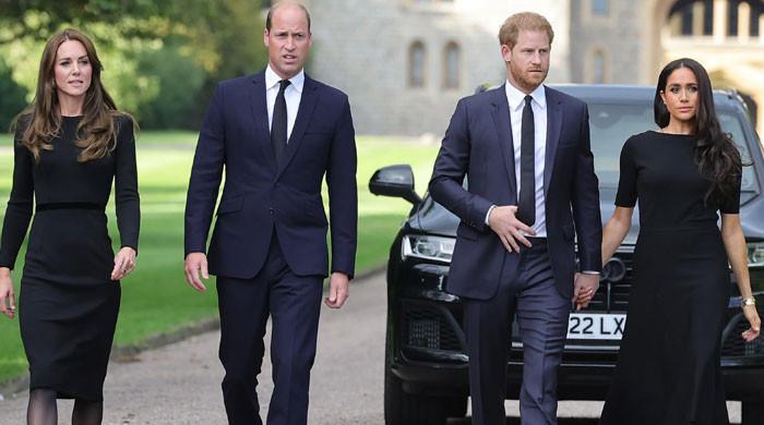 Kate Middleton reluctant to reunite with Meghan, Prince Harry?