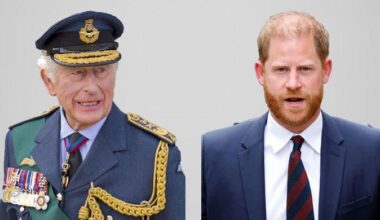 Prince Harry's accused of ulterior motives against King Charles
