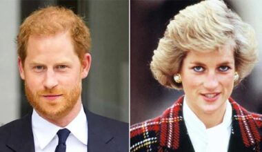 Prince Harry told to not speak about Princess Diana ‘from his lens'
