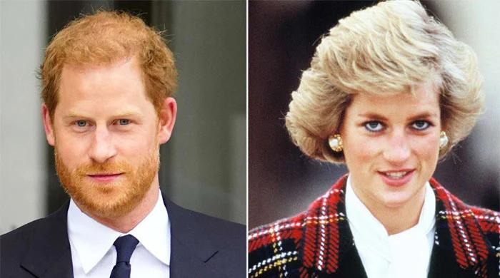 Prince Harry told to not speak about Princess Diana ‘from his lens'