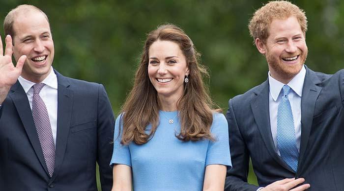 Prince William, Princess Kate reject Harry's reunion plan for Diana's 30th anniversary