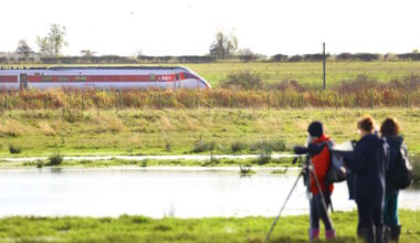 LNER Azuma passing Durham Wildlife Trust site at Ricknall Carrs