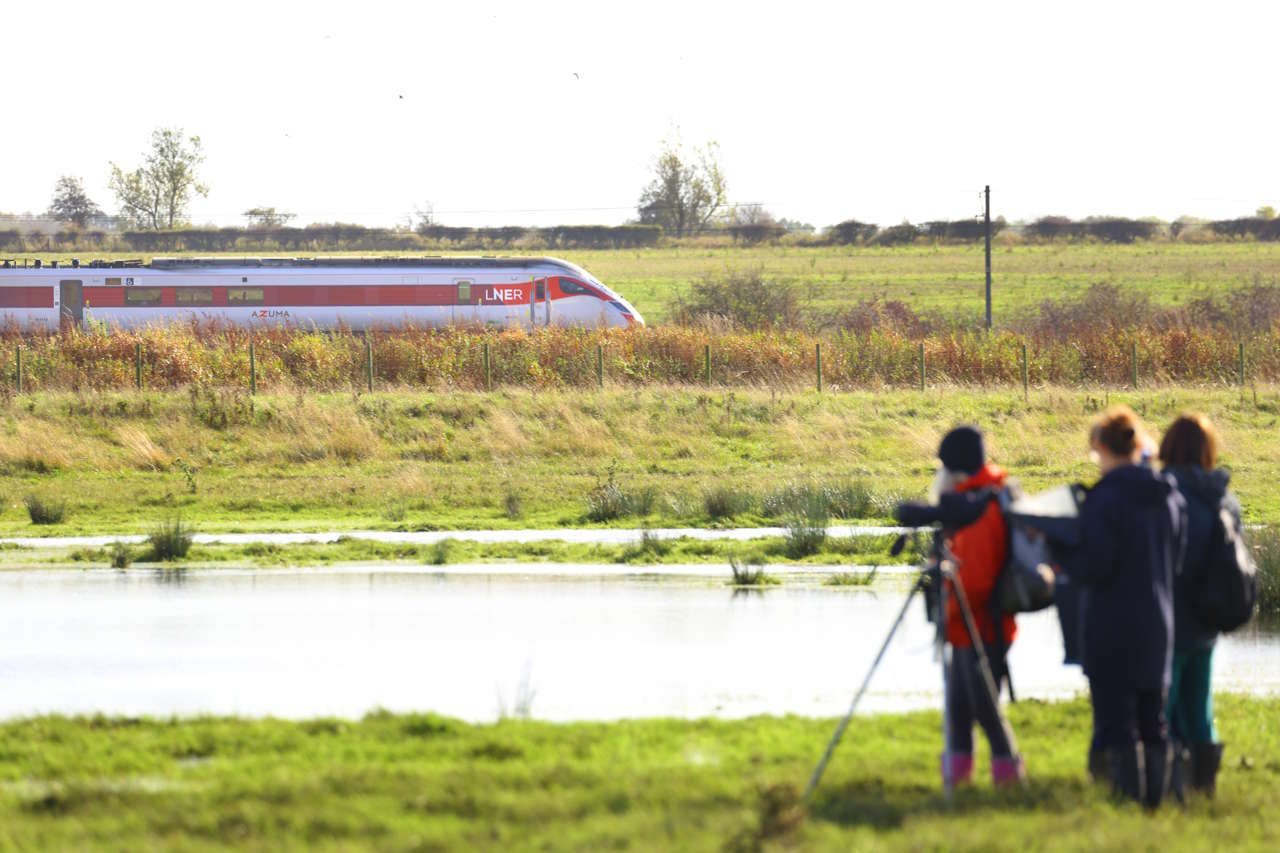 LNER Azuma passing Durham Wildlife Trust site at Ricknall Carrs