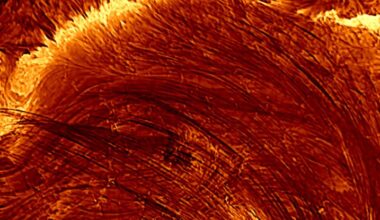World's Most Powerful Solar Telescope Captures Its First Monster Flare in Astonishing Detail : ScienceAlert