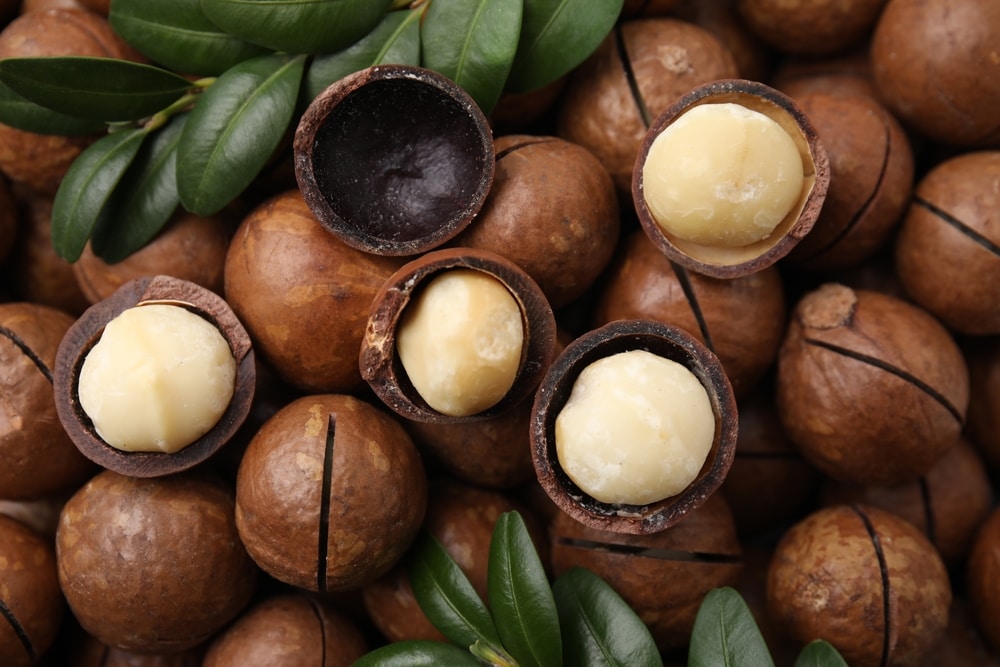Omega-7 has been found in macadamia nuts and sea buckthorn oil to improve insulin sensitivity.(Shutterstock)