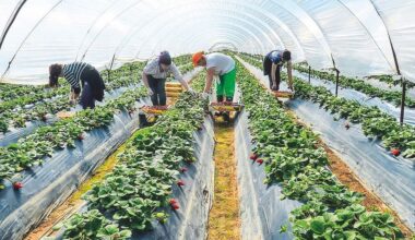 EU hinders worker mobility | eKathimerini.com