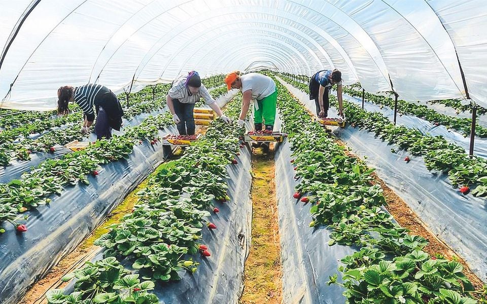 EU hinders worker mobility | eKathimerini.com