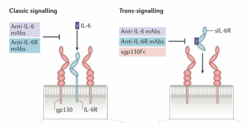 Marios Georgakis on IL-6 Inhibition, Genetics as a Tool for Drug Validation