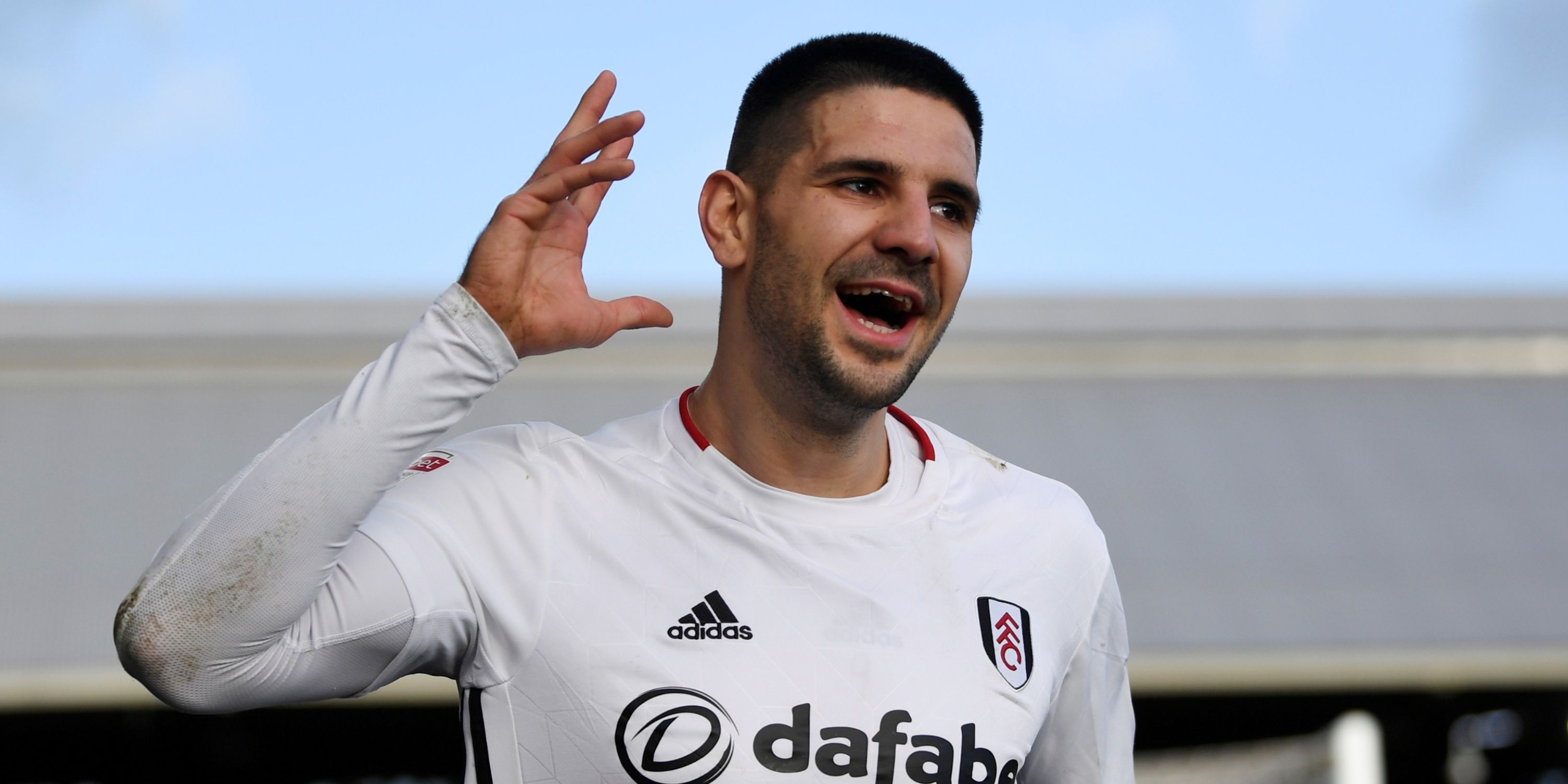 aleksandar-mitrovic-fulham