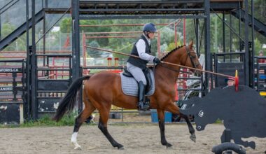 Roberts Creek equestrian qualifies for world competition in Spain