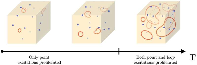 New 3D topological phase of matter marks anomalous symmetry at non-zero temperatures