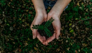 10 things for Londoners to do at home to be greener