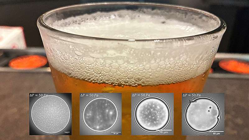 On tap: What makes beer foams so stable?
