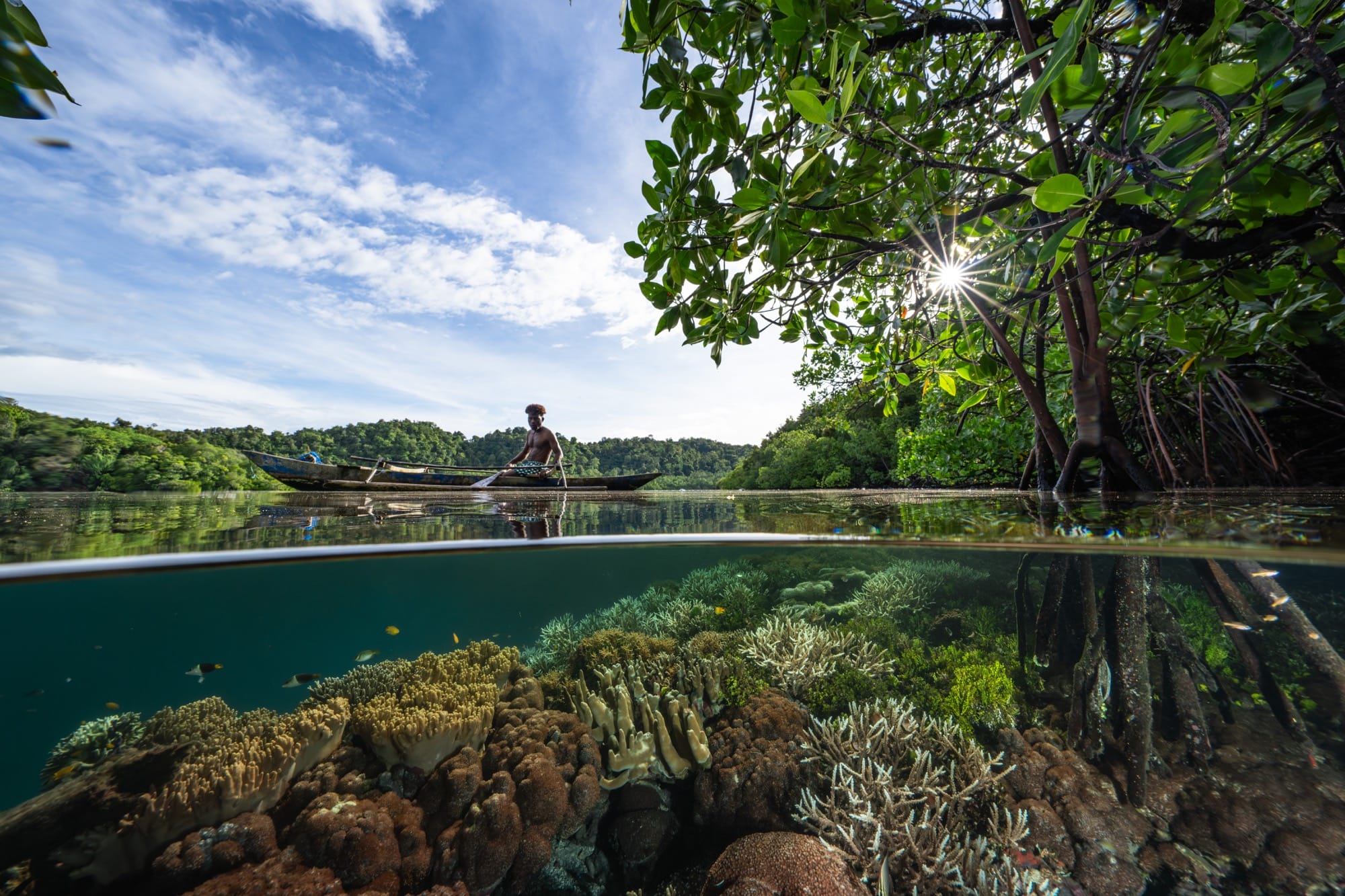 a half-submerged photo of a person in a boat and a coral reef beneath the surface of the water