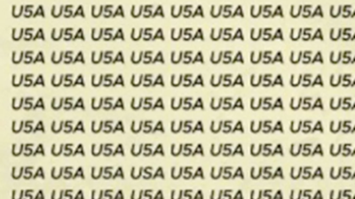 Optical illusion: Can you spot the hidden USA in this viral image?