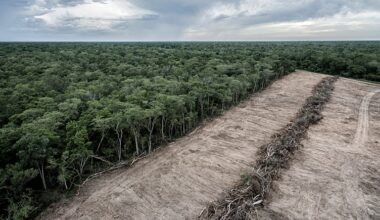The EU-Mercosur Deal Comes With Serious Environmental and Social Implications