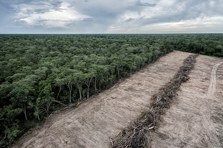 The EU-Mercosur Deal Comes With Serious Environmental and Social Implications