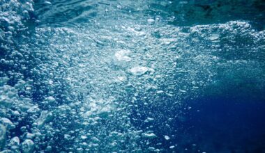 Oxygen Crisis Looms Lanternfish Extinction Could Set Off Global Marine Collapse