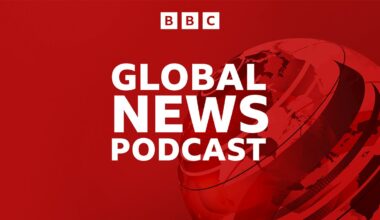 BBC World Service - Global News Podcast, Trump-Putin meeting over Ukraine likely ‘in coming days’