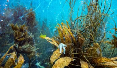The best science pictures of the week