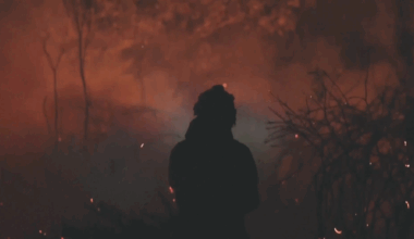 Raging wildfires across Spain and Portugal as temperatures soar – Channel 4 News