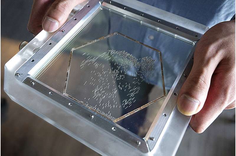 Packed particles power up: Physicists discover particles that accelerate when crowded