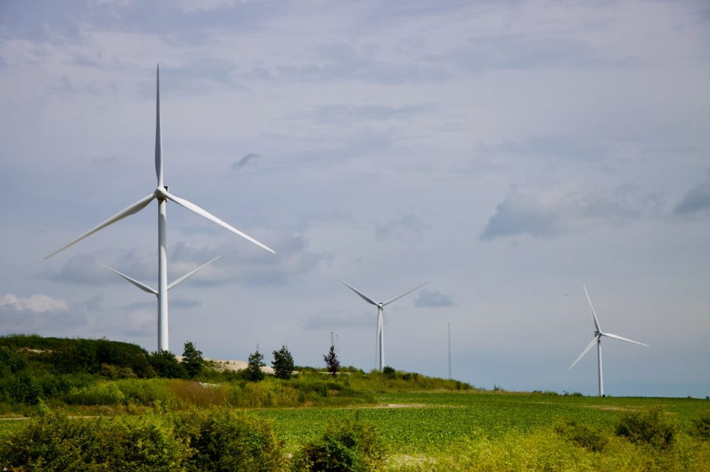 Sheffield to Host Masterclass on Building Greener, More Resilient Businesses